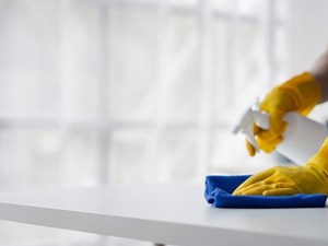 ¿Los ácaros desaparecen en verano?